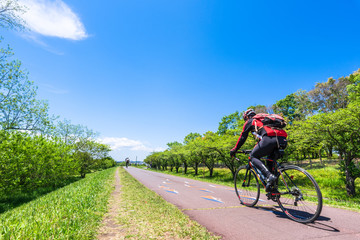 多摩川　新緑のサイクリングロード