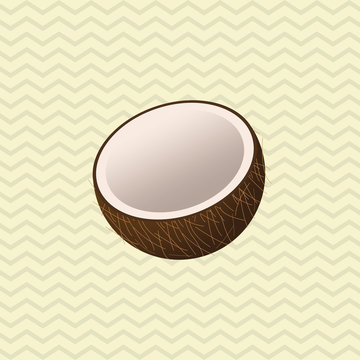 Tropical design. coconut concept. nature icon 