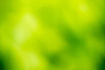 Fototapeta na wymiar background green