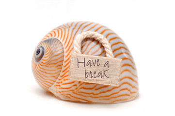 Meeresschnecke mit Schild und Schriftzug Have a break