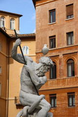 Obraz premium Rome,Italy,Piazza Navona,Fountain of Neptune,seagull.