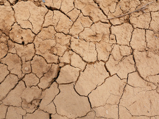 soil crack texture