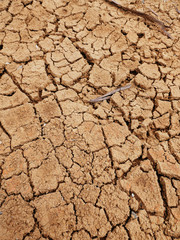 soil crack texture