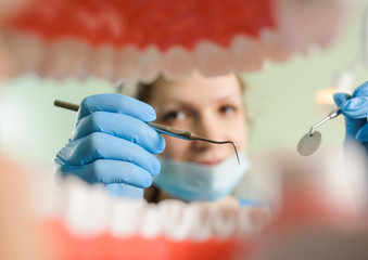 Dentist holding dental probe and dental mirror being ready for teeth examination in dental office. View from the mouth framed by teeth, focus on the dental probe. Stomatology equipment - obrazy, fototapety, plakaty