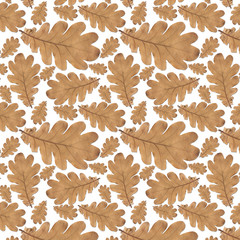 pattern old dry yellow autumn oak leaves