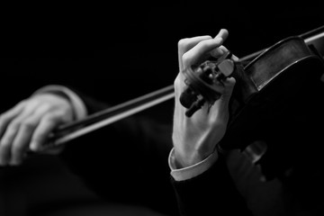 Hands musician playing the violin closeup in black and white