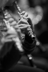 Flute in the hands of a musician in the orchestra closeup in black and white