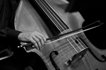 Human Hand playing the contrabass in black and white 