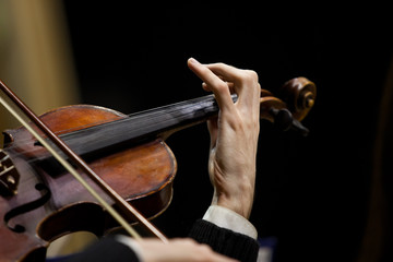 Hands musician playing the violin closeup - obrazy, fototapety, plakaty