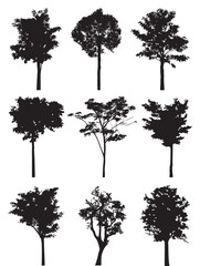 Obraz premium Tree silhouette vector.