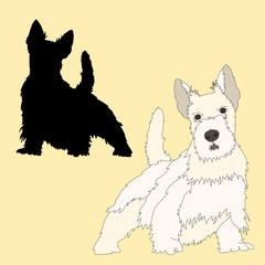 Scottish Terrier dog black silhouette realistic 