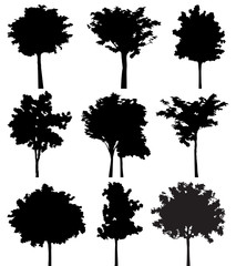 Tree silhouette vector.