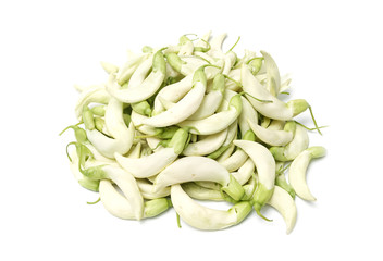 White Agasta ,Vegetable Humming Bird Sesban Agasta,Thai vegetable