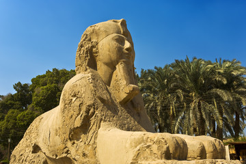 Fototapeta na wymiar Egypt. Memphis - Mit Rahina open-air museum. The Alabaster Sphinx found outside the Temple of Ptah. The Pyramid Fields from Giza to Dahshur is on UNESCO World Heritage List