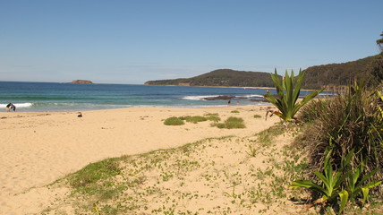 Pebbly Beach near Shoalhaven, NSW, Australia

