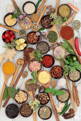 Herb and Spice Sampler