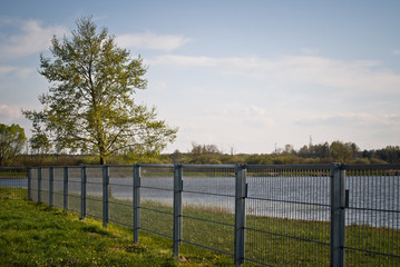 Nad jeziorem © Mariusz Stoszewski