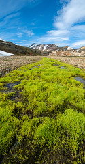 Obraz premium Landmannalaugar