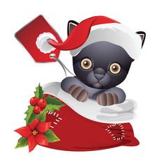 cute animals in santa hats