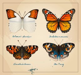 Vector Vintage Butterflies cover. Design to print. Printable art for postcard.