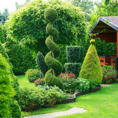Naklejka premium Strzyżone rośliny ozdobne w ogrodzie
