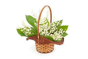 Bouquet of spring flowers in basket.