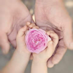 Kid and Father Holding Flower in Hands. Family Values Concept.