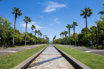 陽春の潮風公園水と緑のプロムナード