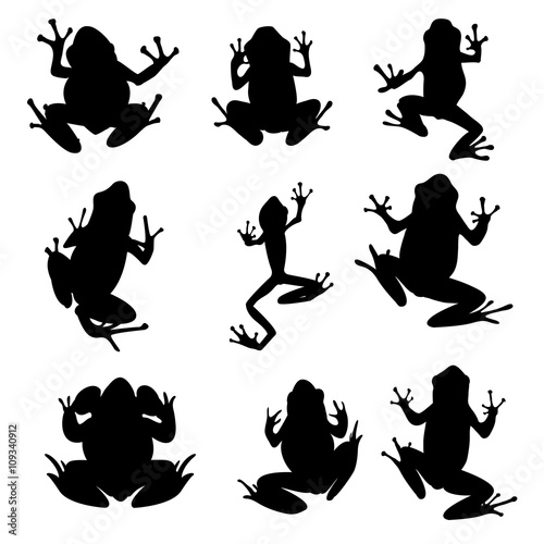Vector Amphibian Silhouette On The White Background Frog