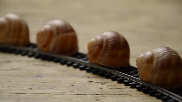 109345507
