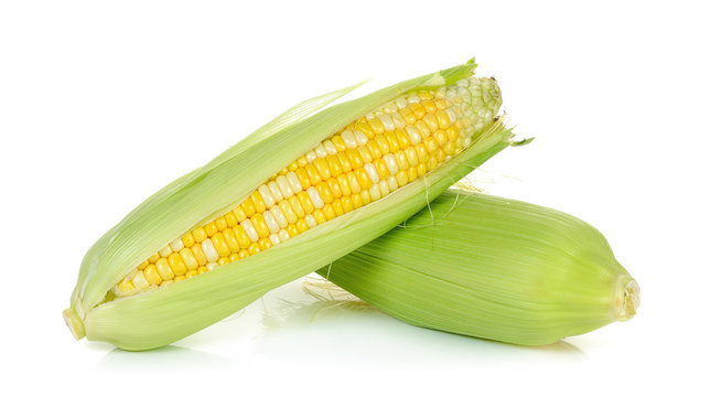 Raw corn isolated on the white background