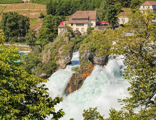 Fototapeta na wymiar Rhine Falls in summer