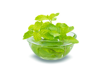 Mint in the transparent glass bowl isolated on white background,