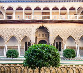 Obraz premium Seville Alcazar Garden