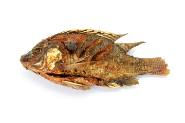 Fried Tilapia fish fried isolated on white background
