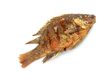 Fried Tilapia fish fried isolated on white background