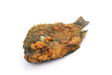 Fried Tilapia fish fried isolated on white background