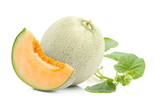 Orange cantaloupe melon  and leaves