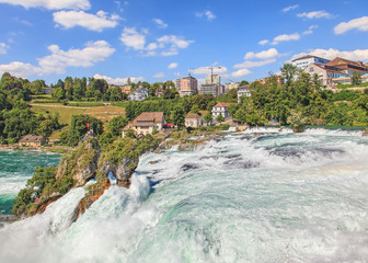 Fototapeta premium Rhine Falls in summer