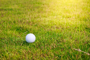 Golf ball on the green