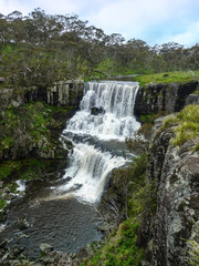 Fototapeta na wymiar Ebor Falls. A cascading waterfall running over basalt in Guy Fawkes River National Park, NSW Australia.
