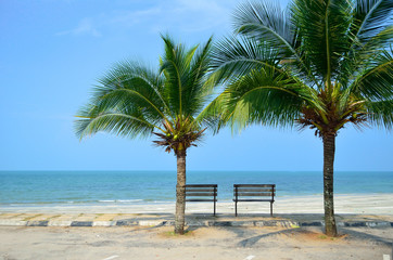 Plakat Bench near beach with green coconut tree