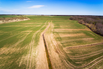 Spring time in latvian countryside.