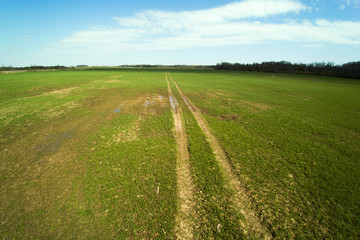 Spring time in latvian countryside.