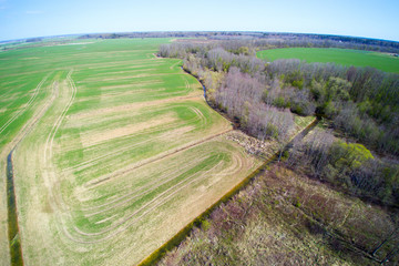 Spring time in latvian countryside.