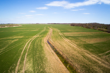 Spring time in latvian countryside.