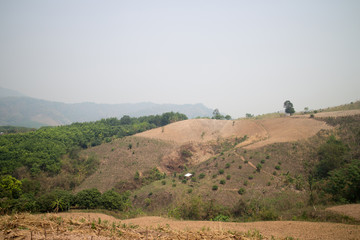 Deforestation on the mountain for agricultural in Payao province