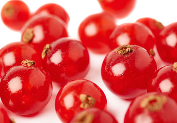 Red Currant isolated over white background