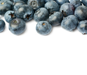 Bilberry or blueberry over isolated white background