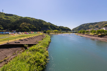Fototapeta premium 高知県黒潮町 田んぼ沿いの鯉のぼり